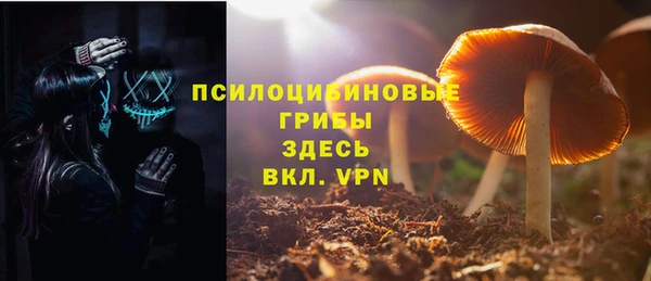 сатива Вязники