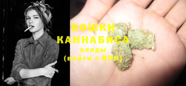 стафф Вязьма