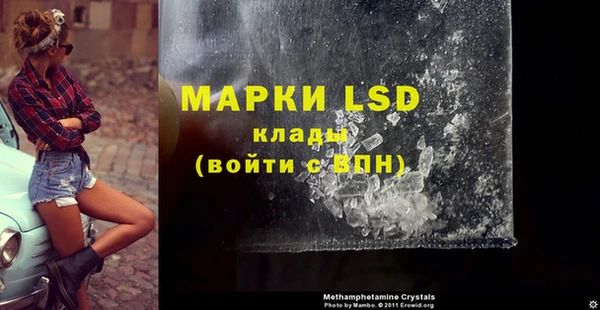 стафф Вязьма