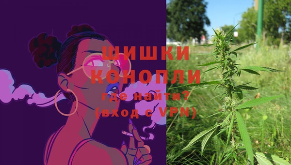 стафф Вязьма
