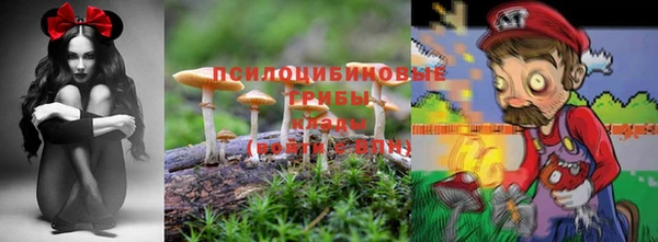 сатива Вязники