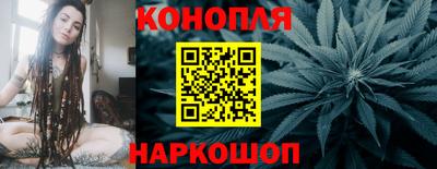 индика Пугачёв