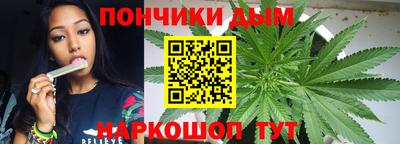 индика Пугачёв