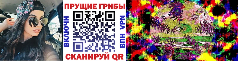 Галлюциногенные грибы прущие грибы  Смоленск 